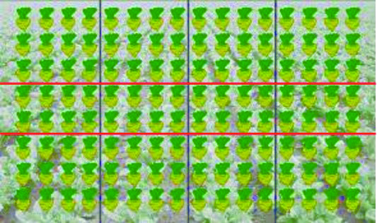 geoseed