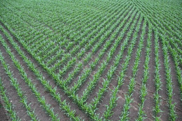 IMG_0772 (Large)_voor website