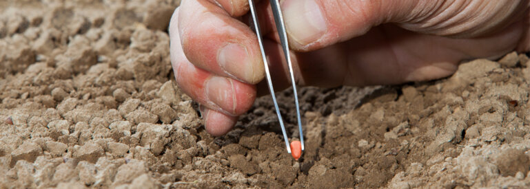 Every crop deserves the best start