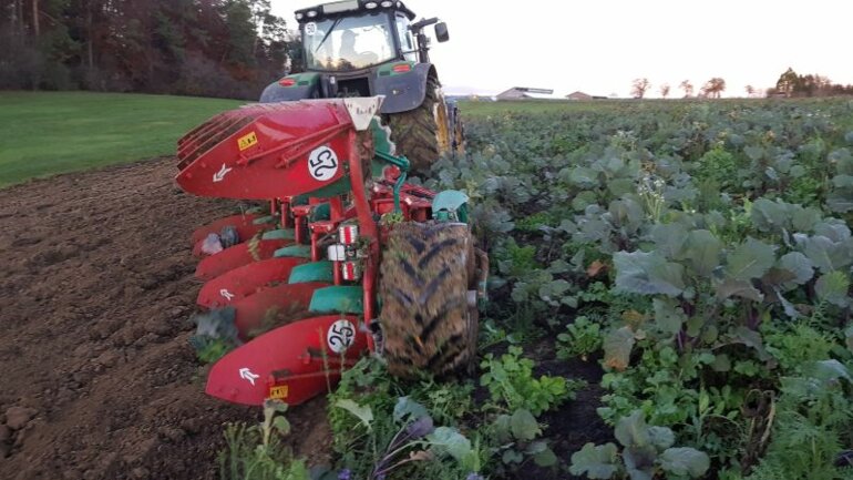 Corrected-field-ghg78b8n7k (1)